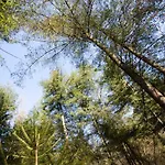 Bok's Bungalowpark בית נופש *