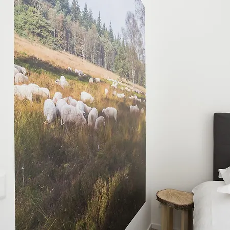 Nyaraló Bok's Bungalowpark