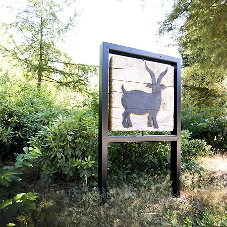 Bok's Bungalowpark * Garderen