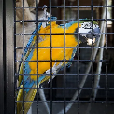 Bok's Bungalowpark *