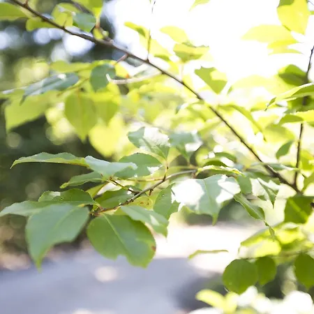 Nyaraló Bok's Bungalowpark Garderen