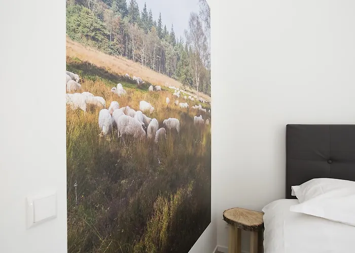 Semesterbostad Bok's Bungalowpark