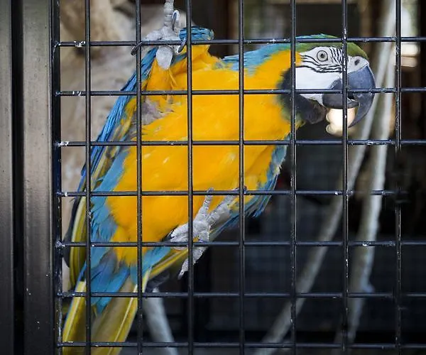 Bok's Bungalowpark *