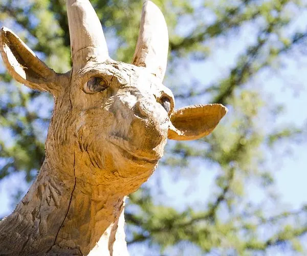 بوكز بانغلو بارك خارديرن