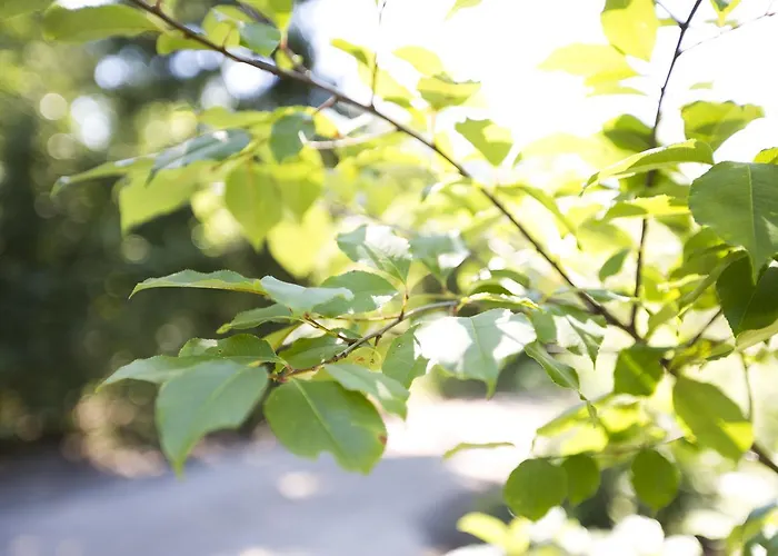 بيت للعطل بوكز بانغلو بارك خارديرن