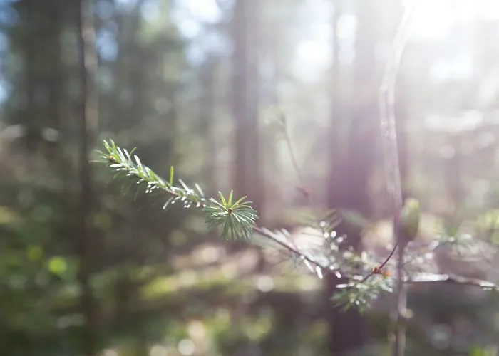 بيت للعطل بوكز بانغلو بارك *