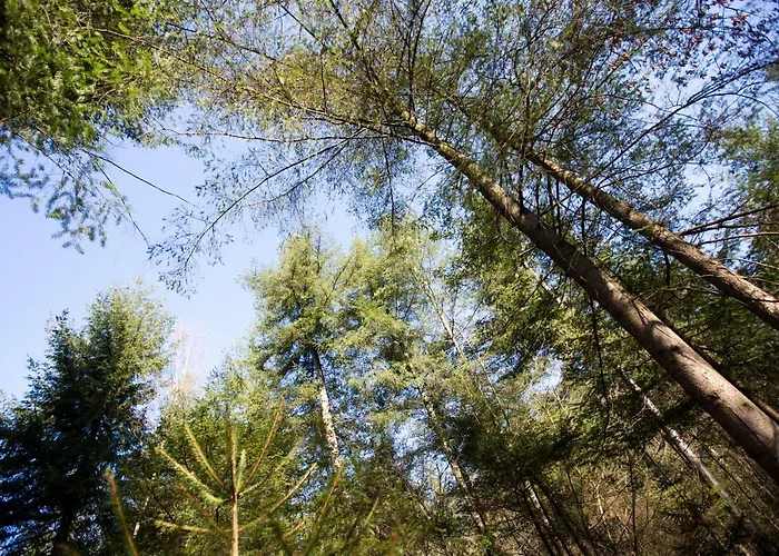 بوكز بانغلو بارك بيت للعطل *